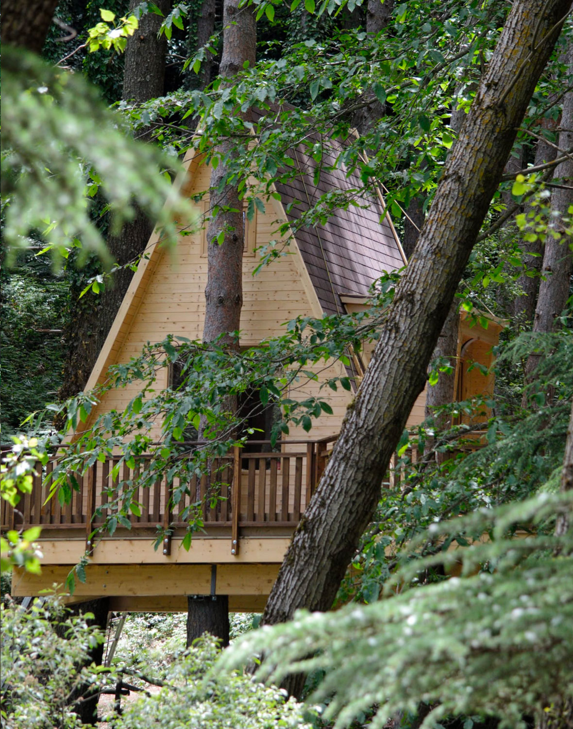 Tree House La Terrazza sul Lago