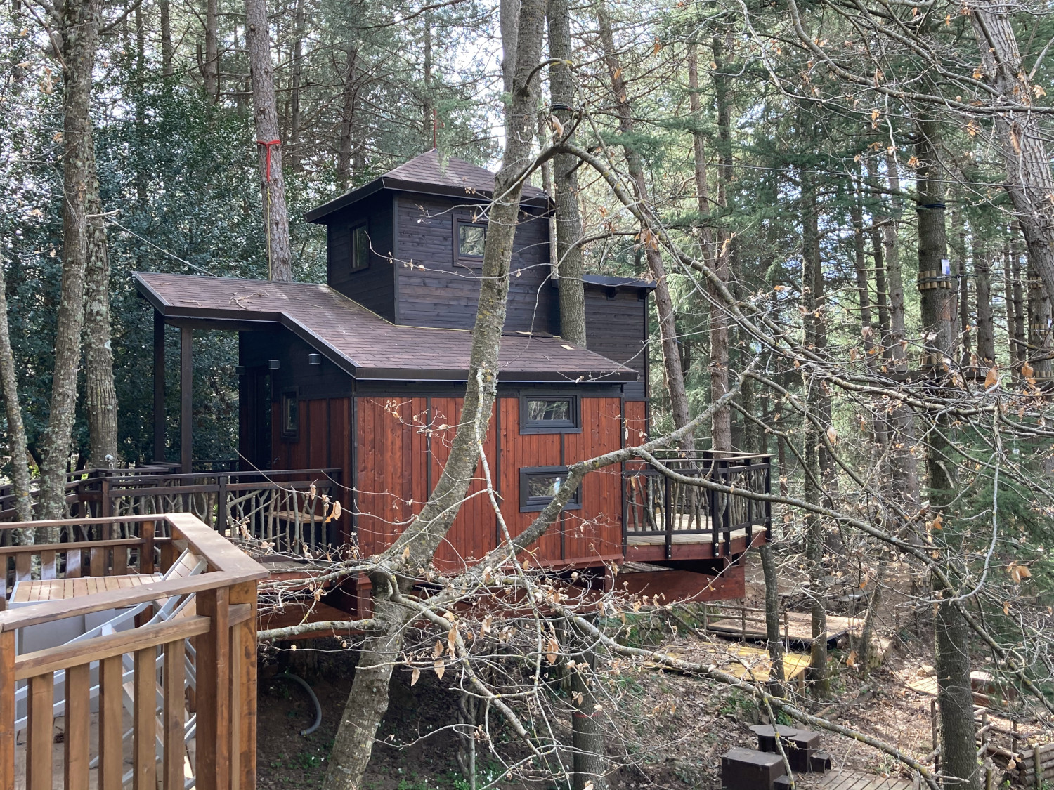 Tree House Il Nido sull'Agrifoglio